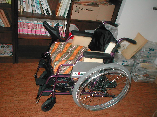 車椅子で彷徨－私の自慢の車椅子